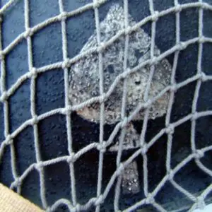 A close up of the net on a basket