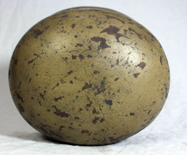 SOLD - Image 11